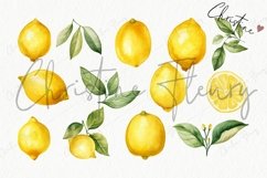 Watercolor Lemons Clipart | Summer PNG Product Image 5