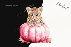 Watercolor Baby Leopard Pumpkin Clipart | Watercolor Pumpkin Product Image 2