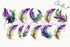 Watercolor Mardi Gras Feathers Clipart | Mardi Gras PNG Product Image 4