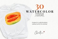 Watercolor Papayas Clipart | Summer PNG Product Image 2