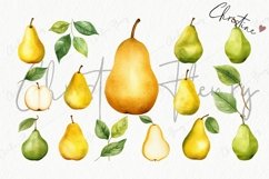 Watercolor Pears Clipart | Fruit PNG Product Image 4