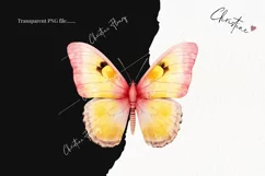 Watercolor Pink & Yellow Butterflies Clipart | Watercolor Product Image 2