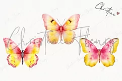 Watercolor Pink & Yellow Butterflies Clipart | Watercolor Product Image 3
