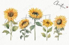 Watercolor Sunflowers Clipart Product Image 5