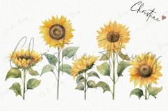 Watercolor Sunflowers Clipart Product Image 6