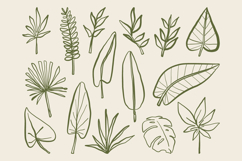 Hand Drawn Botanical Leaf Doodle Vector Set Nature Product Image 1