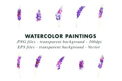 Watercolor Lavender Illustration ClipArt PNG & EPS Vector Product Image 2