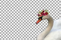Black swan and white swan with burgundy floral crown graphic Product Image 6
