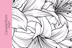Floral Coloring Book Page, Lilies Coloring Page, JPG, PDF Product Image 2