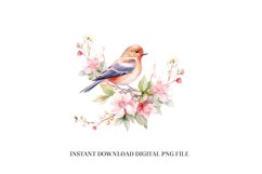 Chaffinch Clipart PNG - Watercolor Bird Sublimation Design Product Image 1