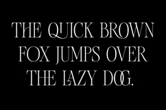 Chakem Modern Ligature serif Font Product Image 6