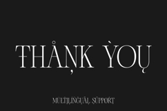 Chakem Modern Ligature serif Font Product Image 12