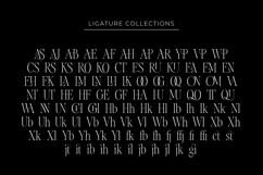 Chakem Modern Ligature serif Font Product Image 11