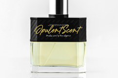 Chalontic - Modern Handwritten Script Font Product Image 11