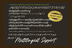 Chalontic - Modern Handwritten Script Font Product Image 18