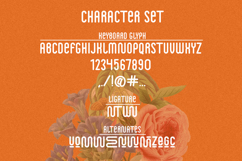 Summersun Monoline Font Product Image 10