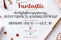 Fantastic Product Image 7