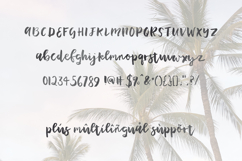 Plumeria Script Font Product Image 5