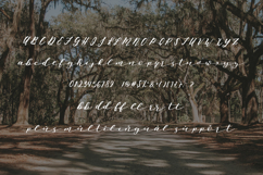 Oh Savannah Script Product Image 6