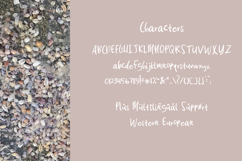 Coquina Clam Font Product Image 4