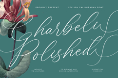 Charbeli Polished - Stylish Calligraphy Font Product Image 1