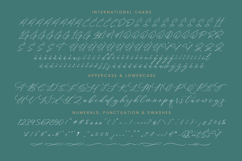 Charbeli Polished - Stylish Calligraphy Font Product Image 18