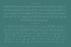 Charbeli Polished - Stylish Calligraphy Font Product Image 19