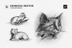 Charcoal Sketch Procreate Brushes Product Image 5