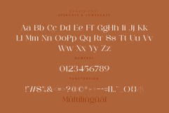 CHAREN || a modern display serif Product Image 6