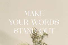 CHAREN || a modern display serif Product Image 9