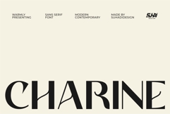 Charine - Modern Sans Serif Font Product Image 1