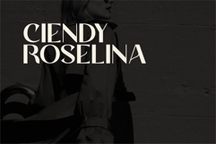 Charine - Modern Sans Serif Font Product Image 4