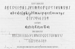 Charismatic Font Duo - Script and Sans Product Image 10