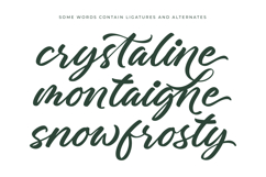 Charity Thomas - Bold Calligraphy Font Product Image 15