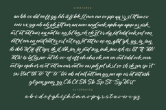 Charity Thomas - Bold Calligraphy Font Product Image 19