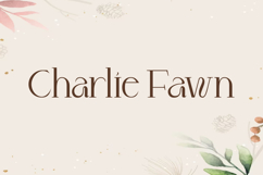 Charlie Fawn Font Product Image 9