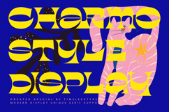 Charmo Style - Modern Display Unique Serif Product Image 1