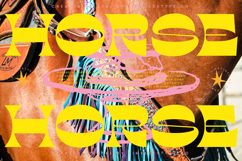 Charmo Style - Modern Display Unique Serif Product Image 7