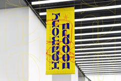 Charmo Style - Modern Display Unique Serif Product Image 13