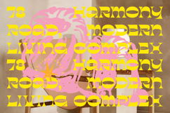 Charmo Style - Modern Display Unique Serif Product Image 14