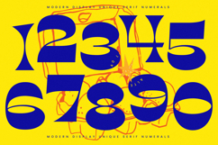 Charmo Style - Modern Display Unique Serif Product Image 17