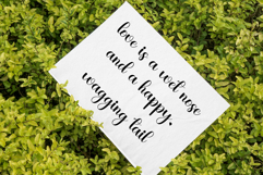 Chasing Hearts Product Image 3