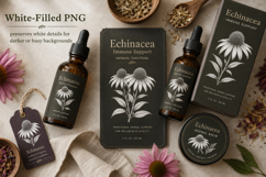 Echinacea Photoshop &amp; Affinity Brushes Botanical PNGs Product Image 2