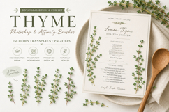 Thyme Photoshop &amp; Affinity Brushes Botanical PNGs Product Image 2