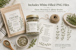 Thyme Photoshop &amp; Affinity Brushes Botanical PNGs Product Image 3