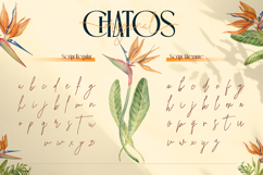 Chatos Original Product Image 10