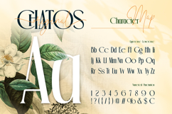 Chatos Original Product Image 2