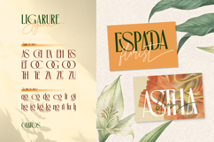 Chatos Original Product Image 4