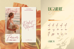 Chatos Original Product Image 8