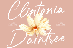 Chatryne Stugarl - Stylish Handwritten Product Image 9